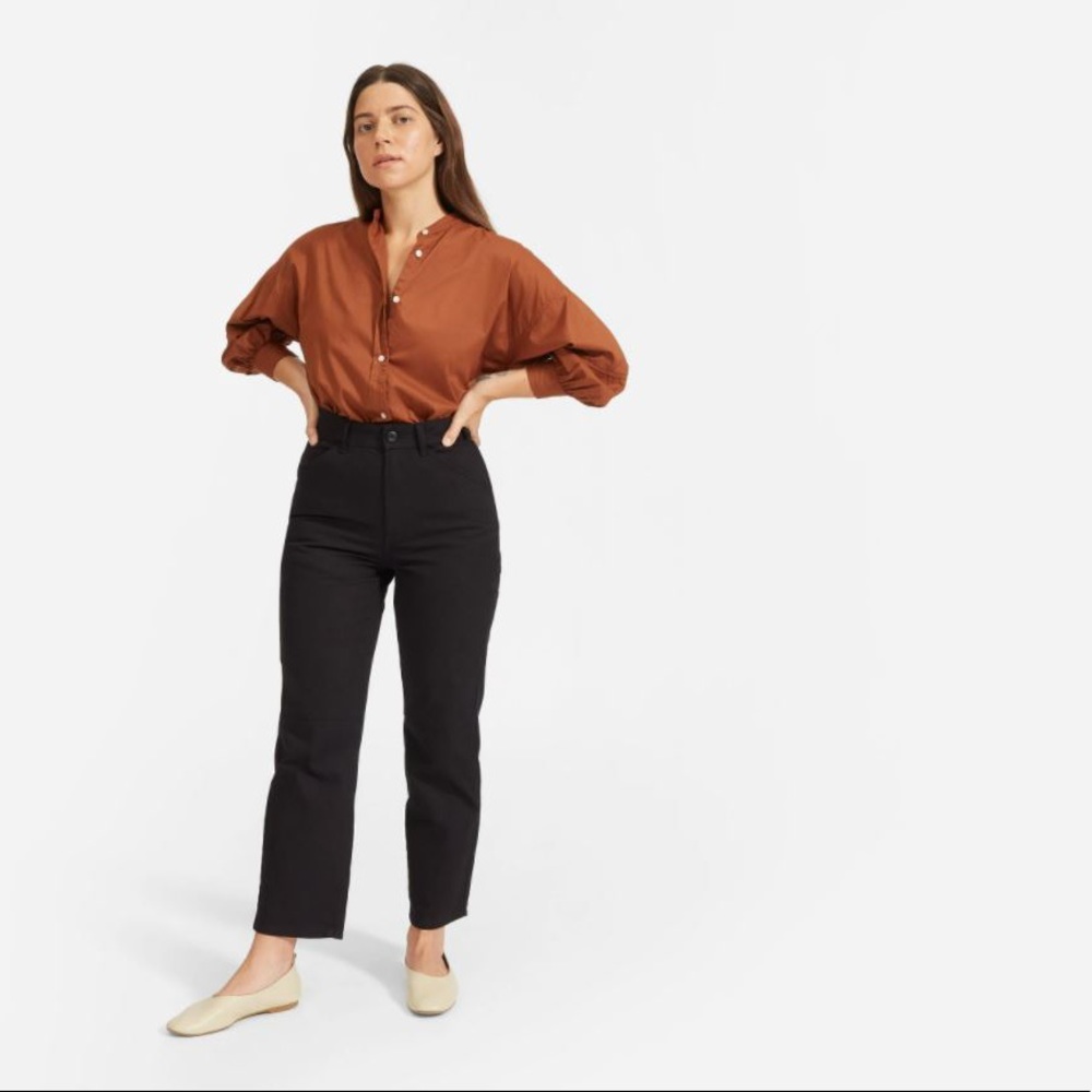Everlane the Carpenter Pants